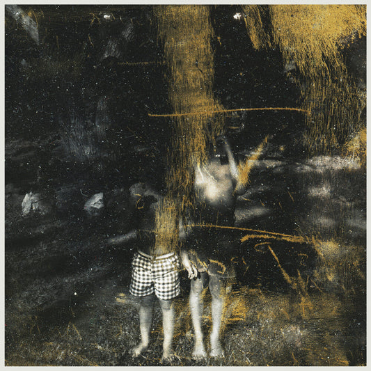 Voids [LP]