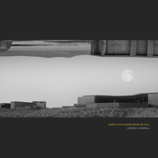 Under This Hunger Moon We Fell [LP]