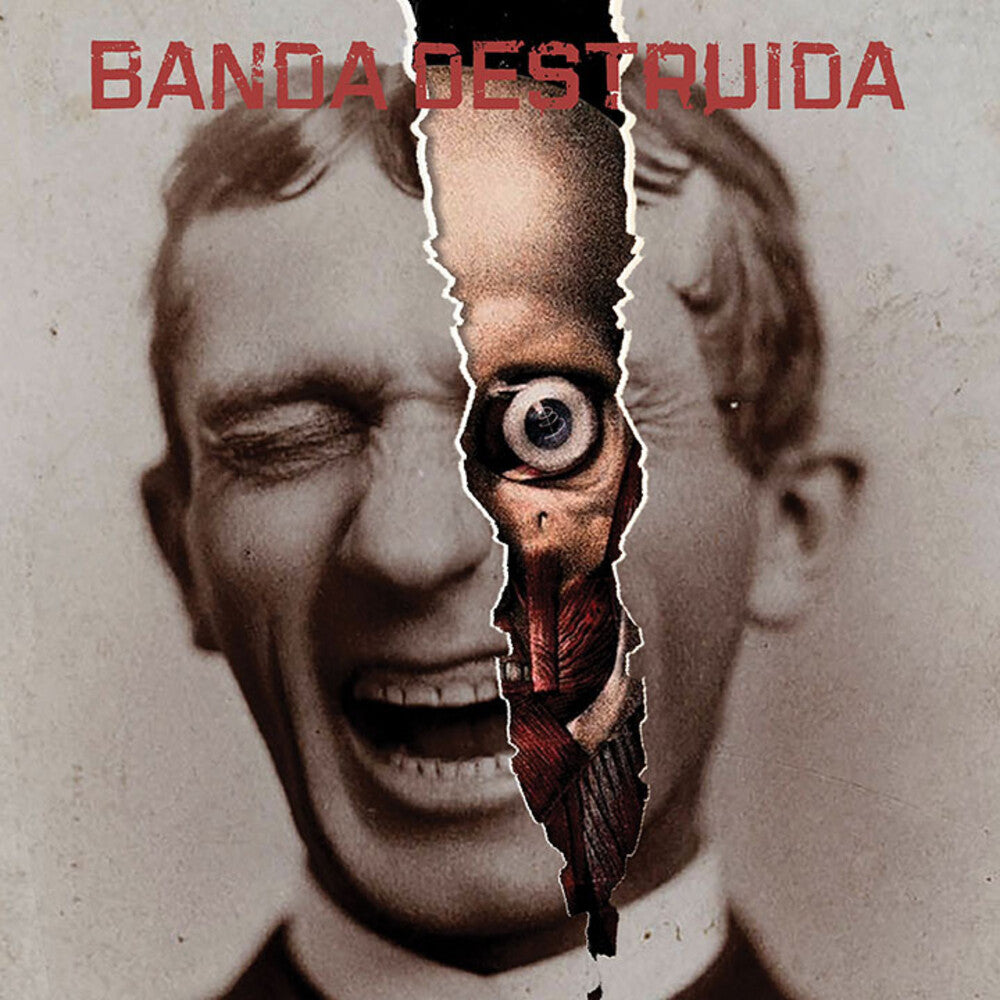 Banda Destruida [LP]