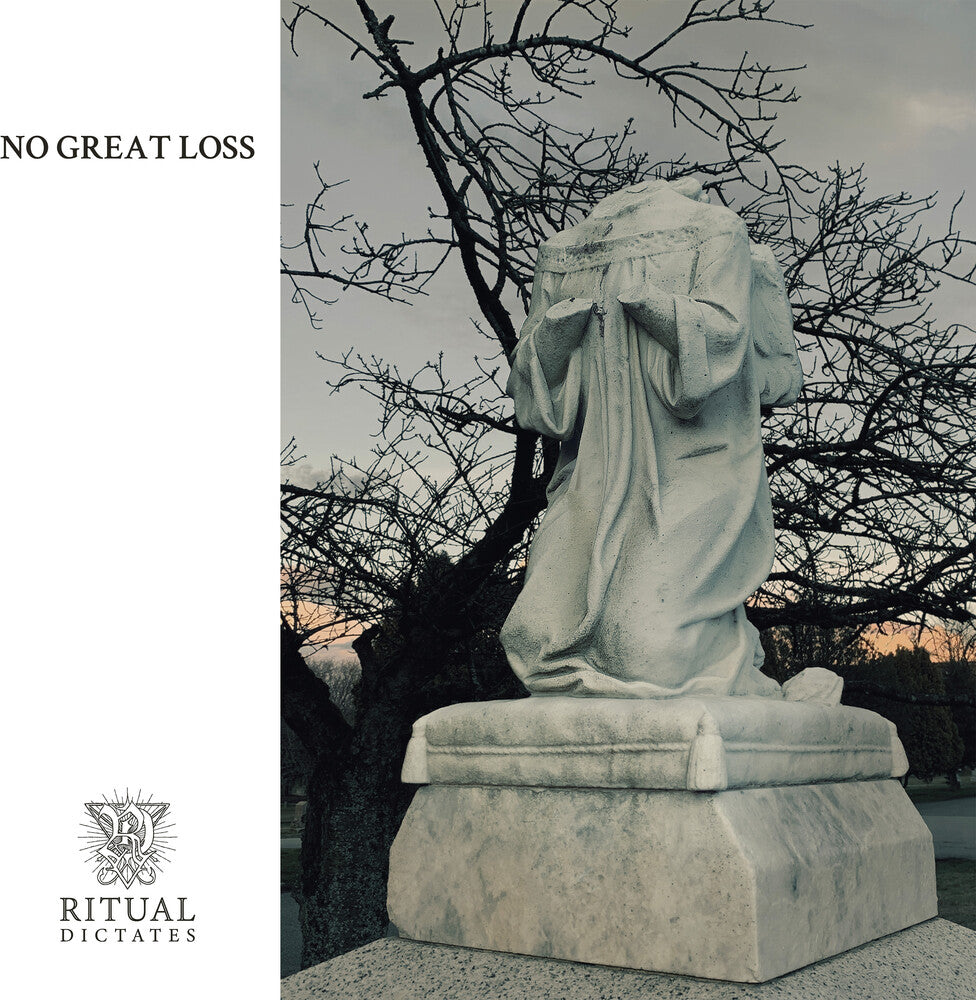 No Great Loss [Clear Vinyl] [Limited Edition]