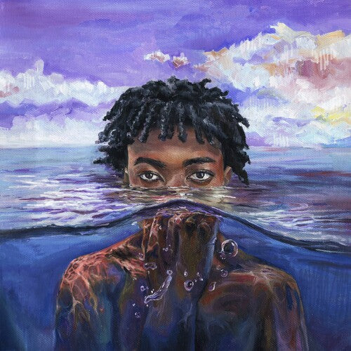 Redveil - LEARN 2 SWIM (Vinyl LP)