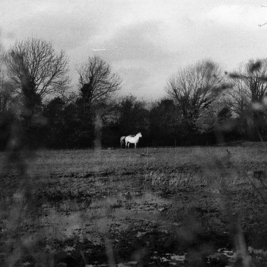 When You Run Away, Do You Close Your Eyes (Blk) [LP]