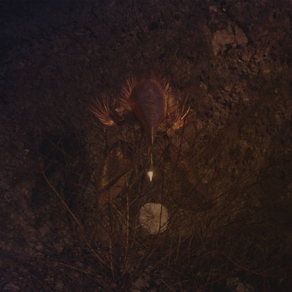 Ampire [Colored Vinyl] (Grn) (Can)