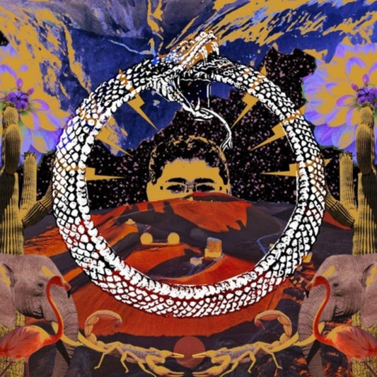 Neverending Cycle [LP]