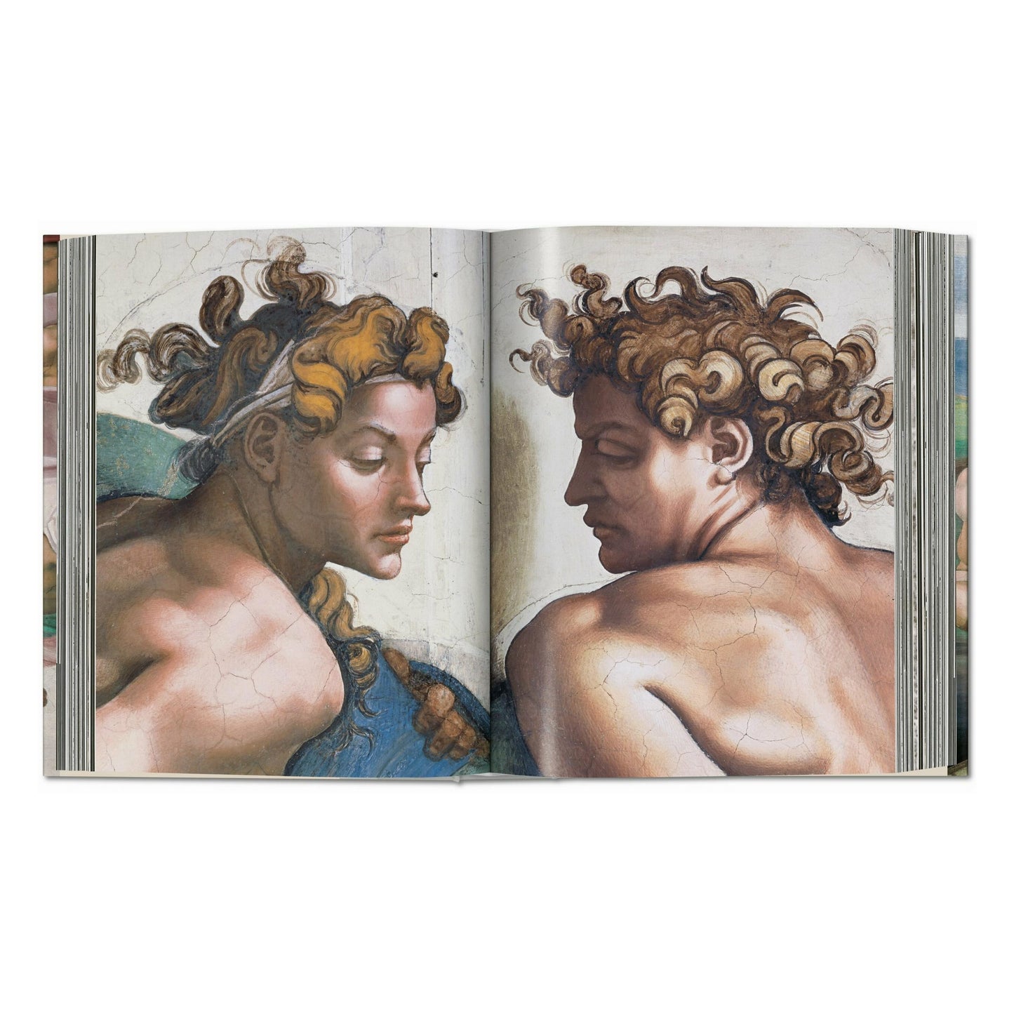 Michelangelo. The Complete Works. Paintings, Sculptures, Architecture (English)