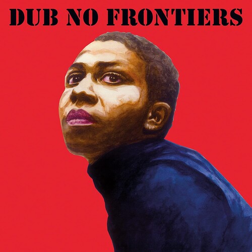 Various Artists - Adrian Sherwood presents Dub No Frontiers (Various Artists) (Vinyl LP)