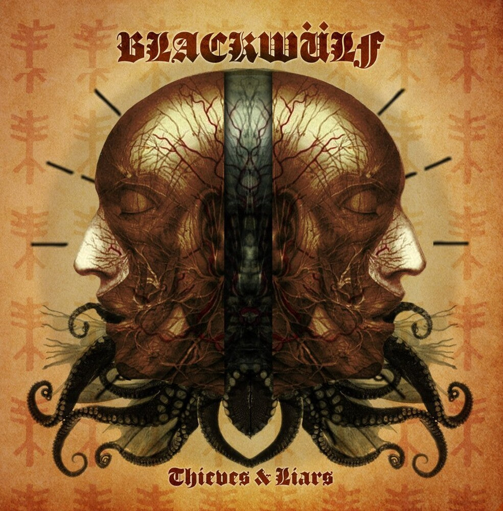 Thieves And Liars [LP]