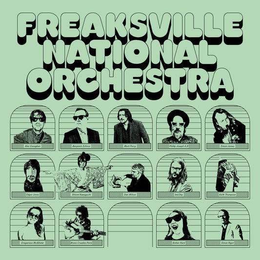 Freaksville National Orchestra [LP]