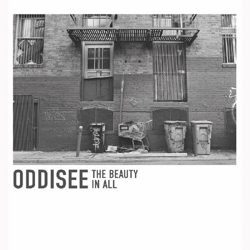 Oddisee - The Beauty In All (Indie Exclusive Vinyl)