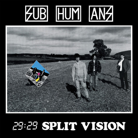 29:29 Split Vision [LP]