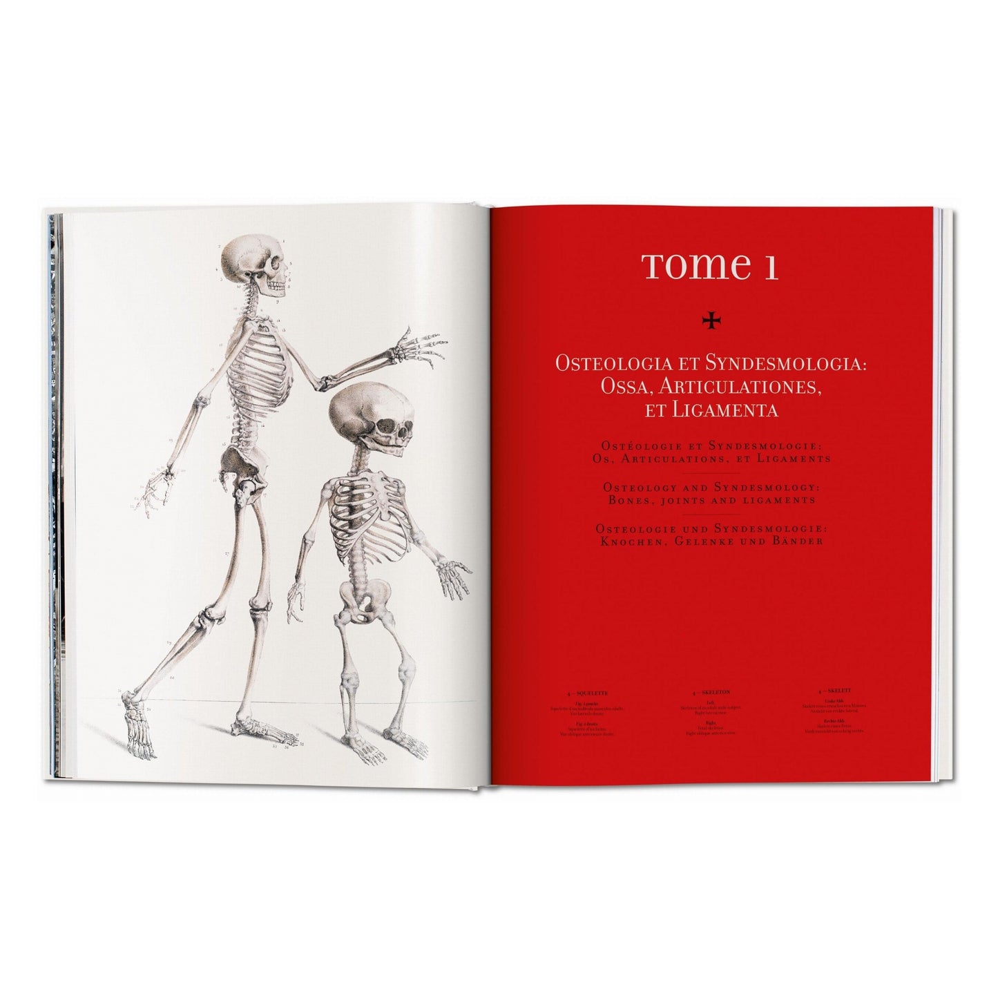 Bourgery. Atlas of Human Anatomy and Surgery (German, French, English)