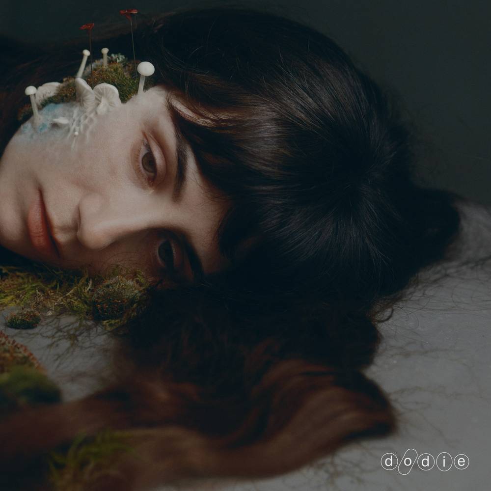 Not For Lack Of Trying [Indie Exclusive LP w/Signed Insert]