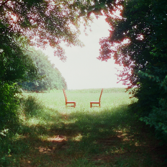 Singin' to an Empty Chair [2LP]