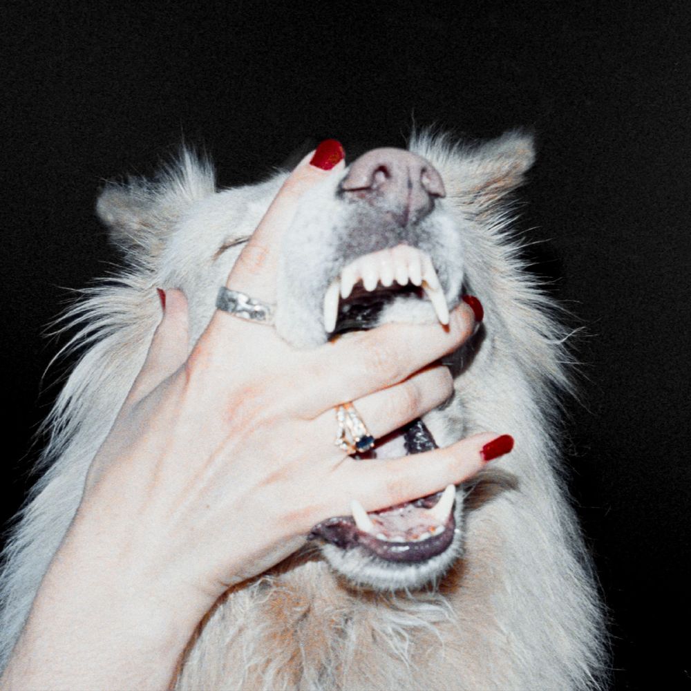 [PRE-ORDER] Pre-Order: Hush [LP]
