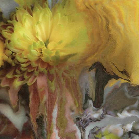 Wilderness Within You [LP]