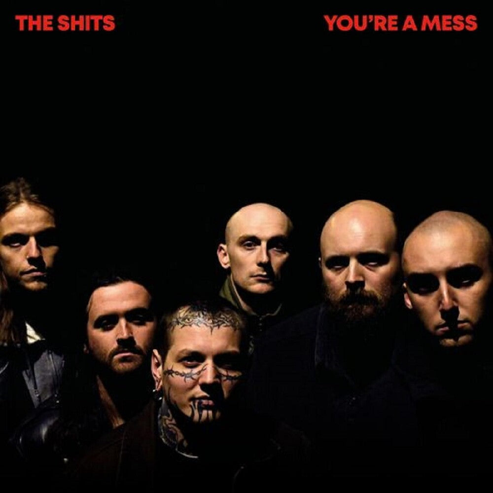 You're A Mess [LP]