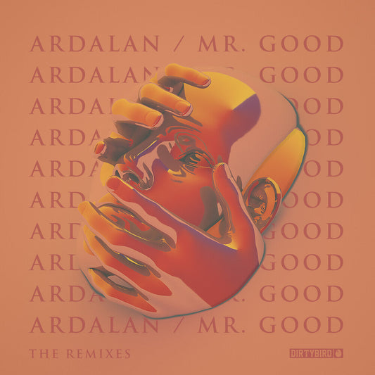 Ardalan - Mr. Good - The Remixes [12" Vinyl]