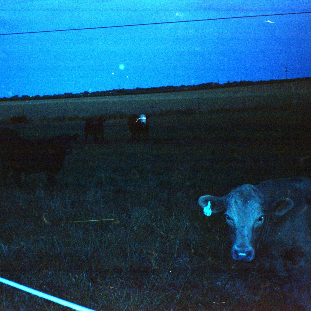 Antarctica - Dark Blue (Blue) [LP]