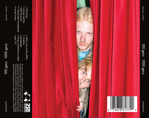 100 gecs - 1000 Gecs