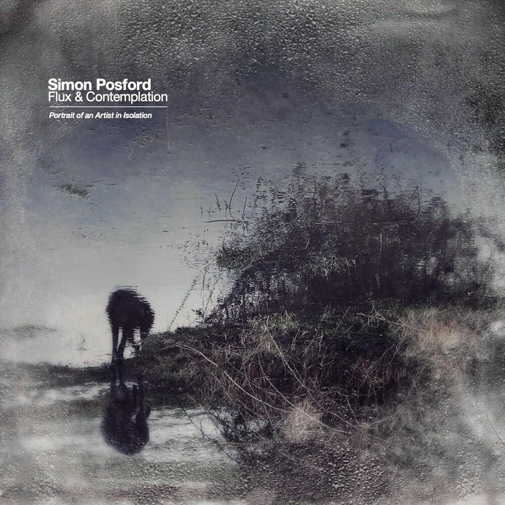 Flux & Contemplation: Portrait Of An Artist In Isolation [2 LP]