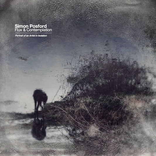 Flux & Contemplation: Portrait Of An Artist In Isolation [2 LP]