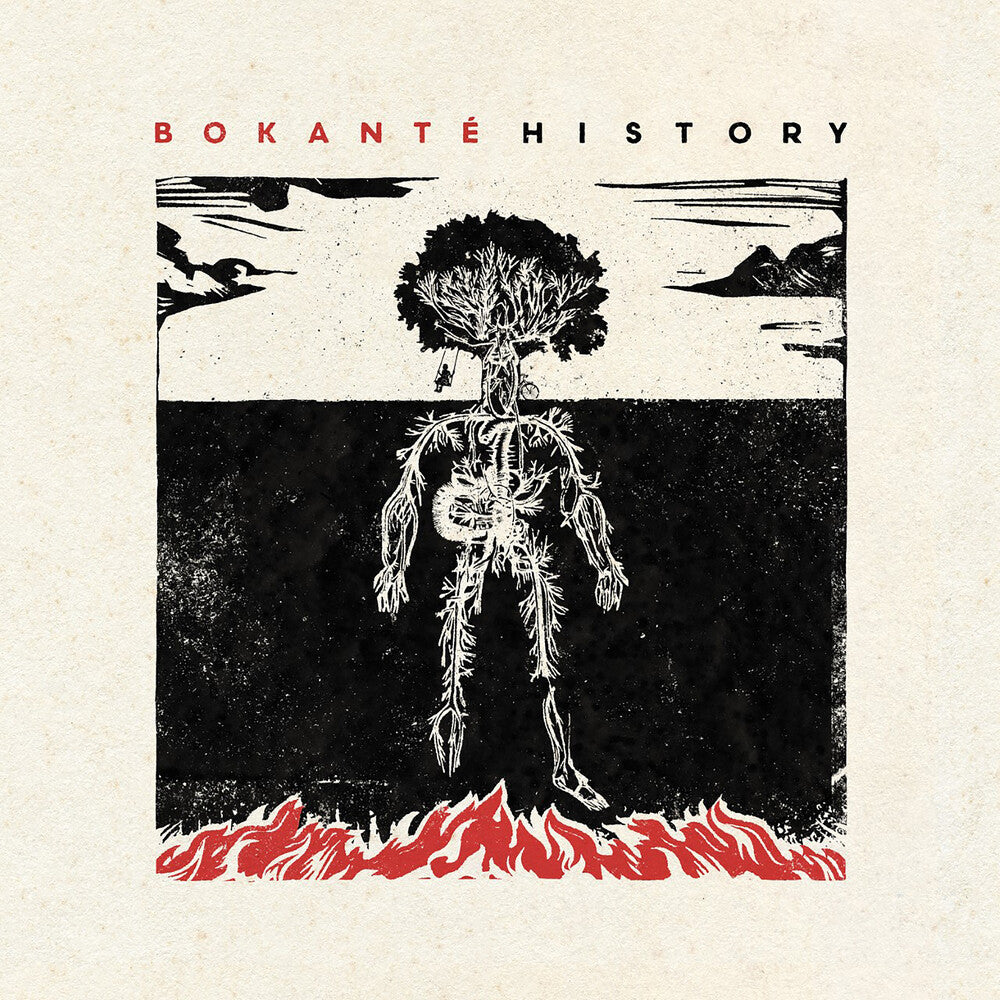 History [LP] - Golden Apple Comics