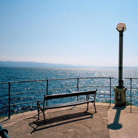 Any-Angled Light (Blk) [Limited Edition] [180 Gram]