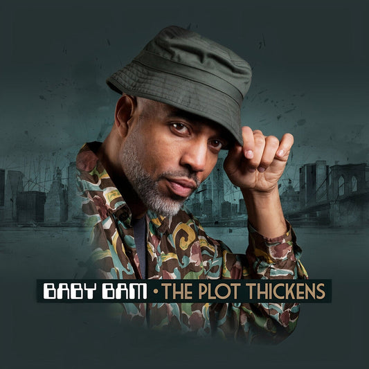 Baby Bam - Plot Thickens [LP]