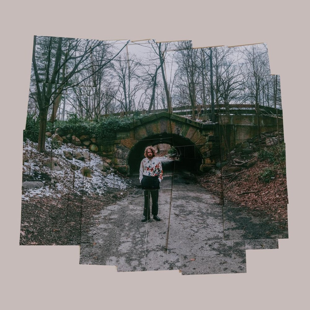 More Photographs (A Continuum) [LP]