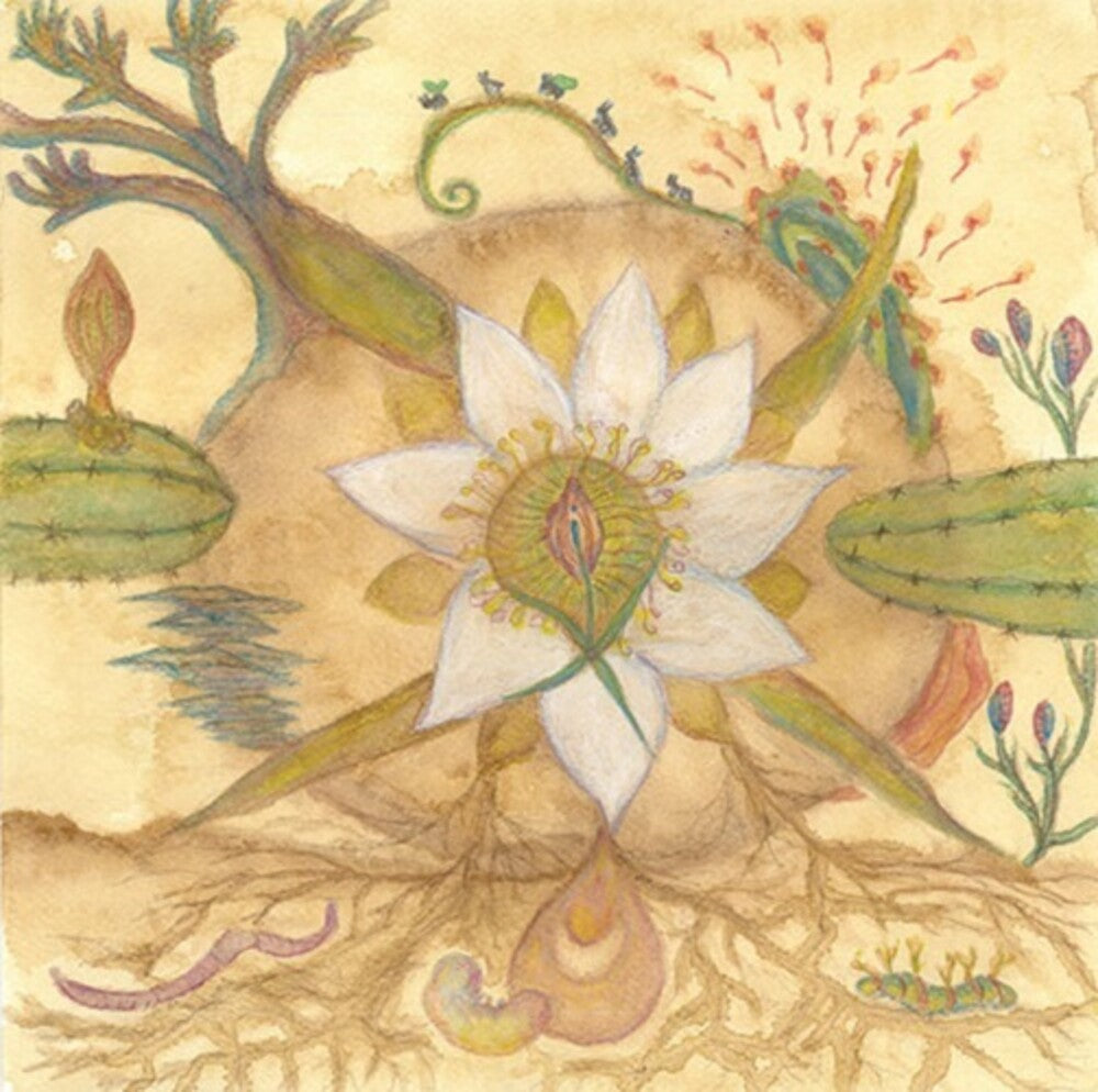 Vision Versions: Joaquin Cornejo Meets Markandeya [LP]