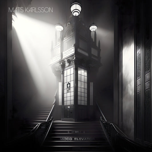Mood Elevator [LP]