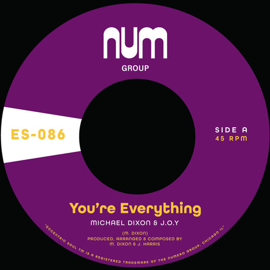 You're Everything B/W You're All I Need [Colored Vinyl]