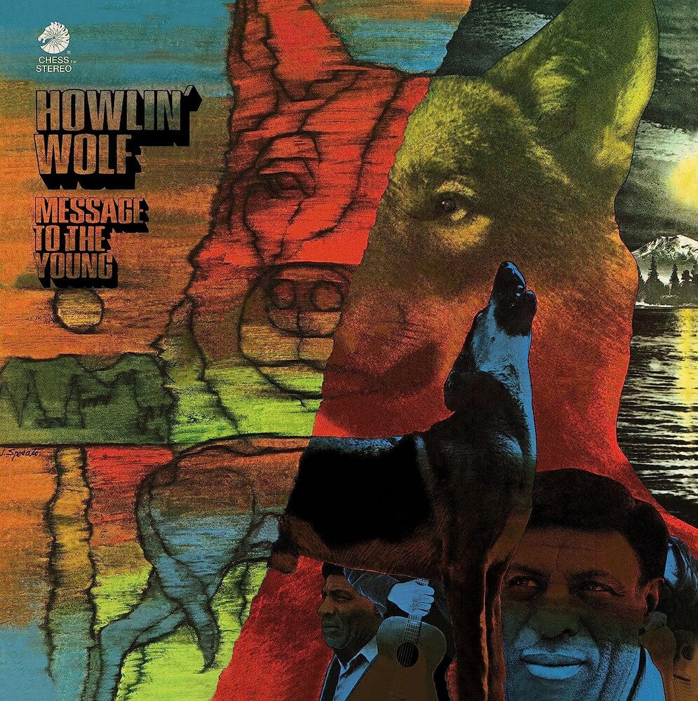 Message To The Young [LP]