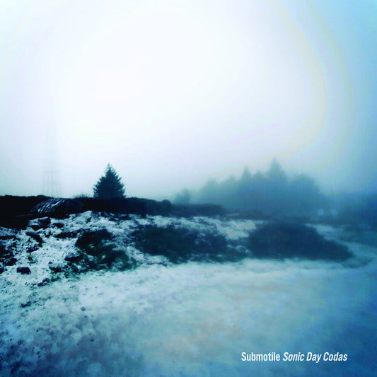 Sonic Day Codas [LP]