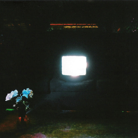 Does It Look Like I'm Here? [2LP]