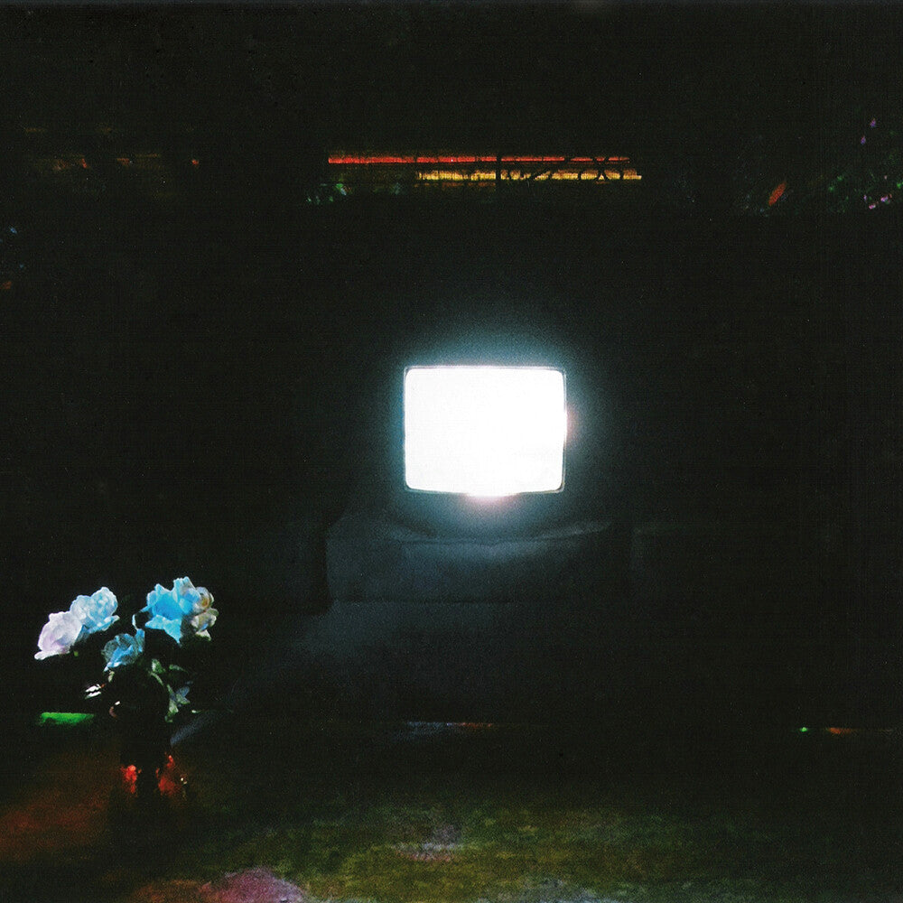 Does It Look Like I'm Here? [Ectoplasm 2LP]