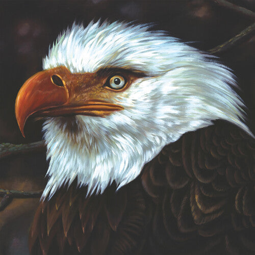 Mogwai - The Hawk Is Howling (Vinyl LP)