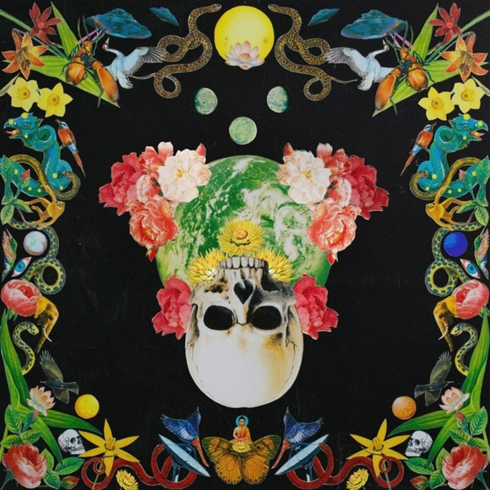 Helichrysum [LP]