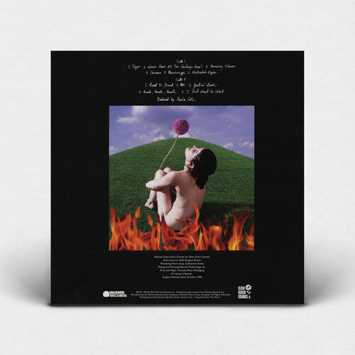 Paula Cole - This Fire (Vinyl LP)