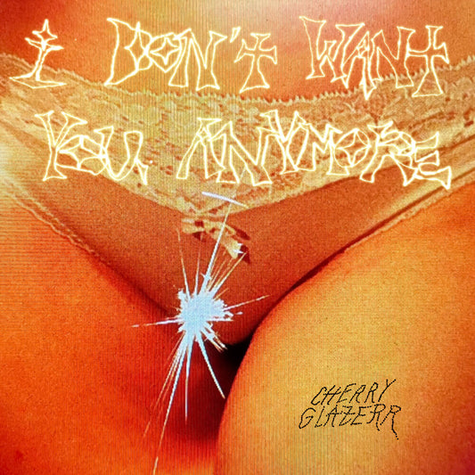 I Don't Want You Anymore [LP]