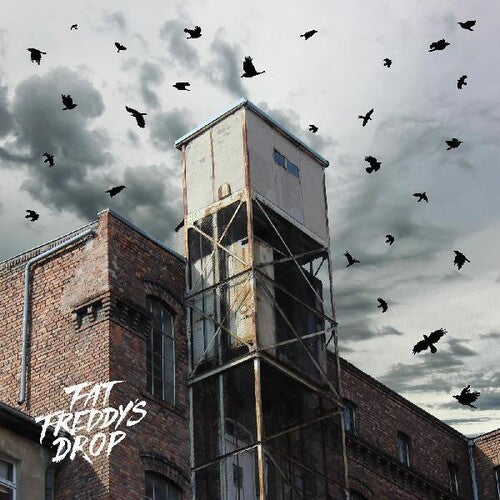 Fat Freddy's Drop - Blackbird Returns (Vinyl LP)