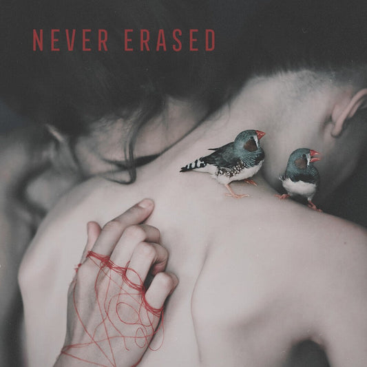 Never Erased / Various [LP]