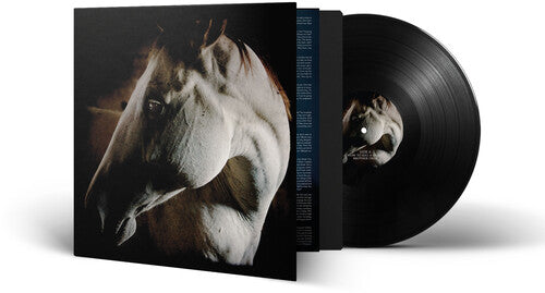 Brother Dege - How To Kill A Horse (Vinyl LP)