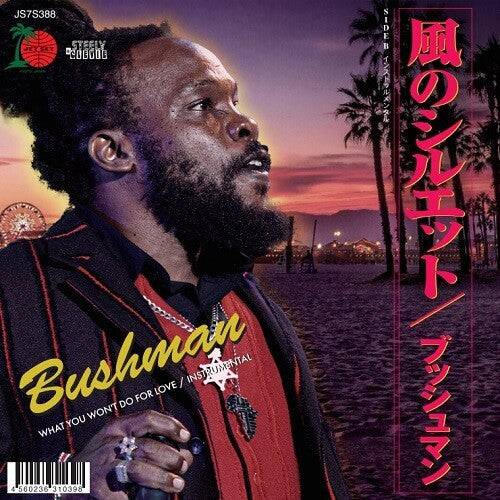 Bushman - What You Won't Do For Love (Vinyl LP)