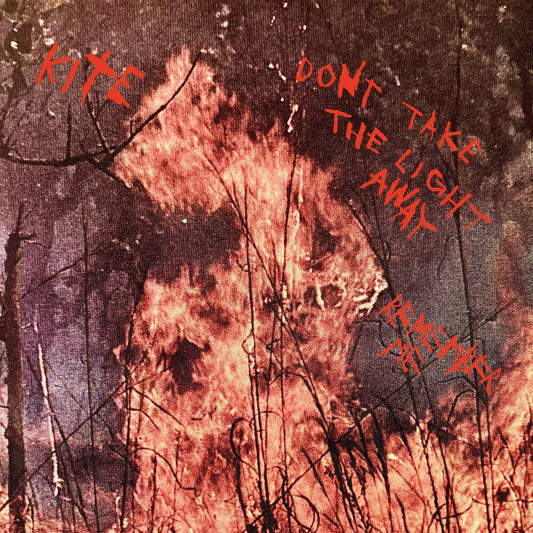 Don't Take The Light Away / Remember Me [Clear Vinyl]