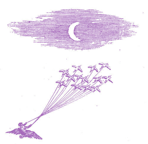 Feeling Figures - Migration Magic (Vinyl LP)