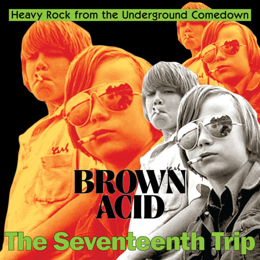Brown Acid - The Seventeenth Trip / Various [LP]