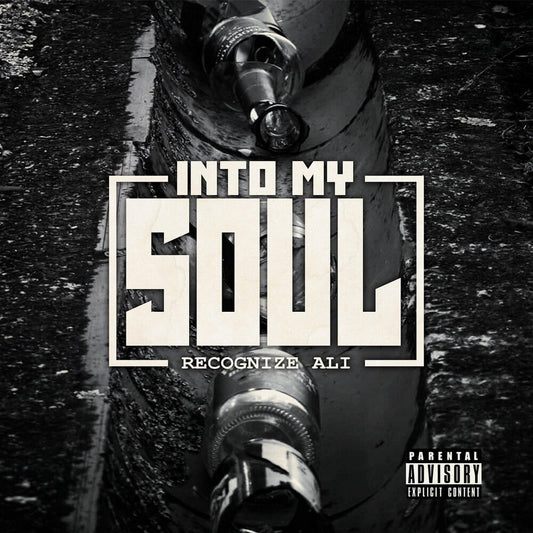 Into My Soul [LP]