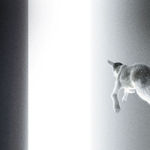 Panoram - Keep Looking Where The Light Comes From (Vinyl LP)