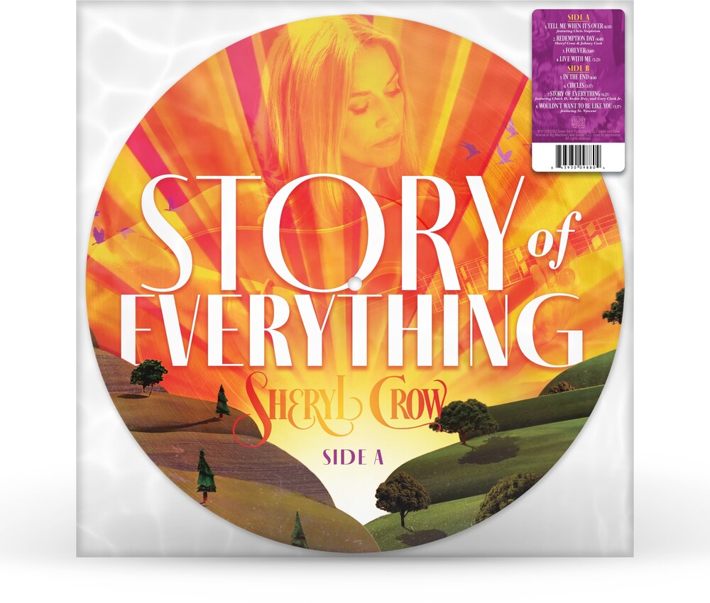 Story Of Everything [Limited Edition Picture Disc LP]
